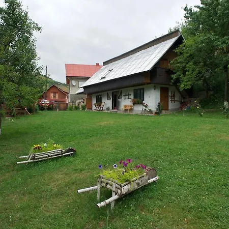Guest house Pensiunea Aurora