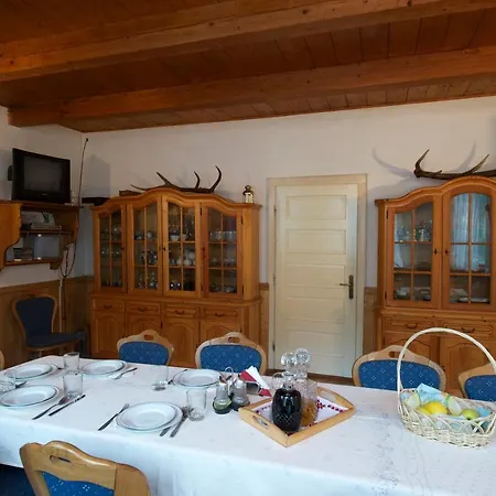 Pensiunea Aurora Guest house