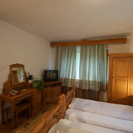 Guest house Pensiunea Aurora *